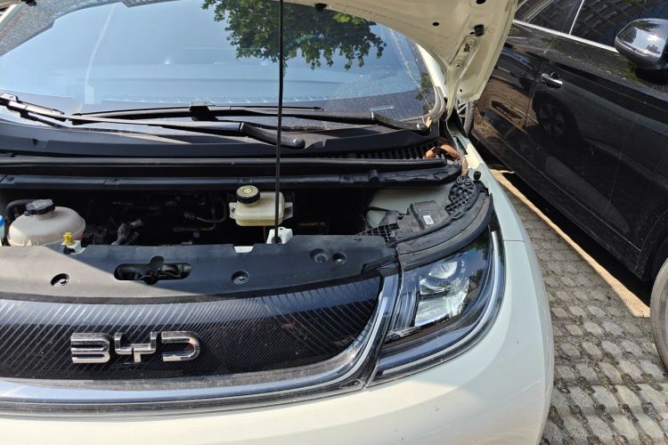 Used BYD Dolphin 2024 Honor Edition 420km Fashion Version Engine Bay Left