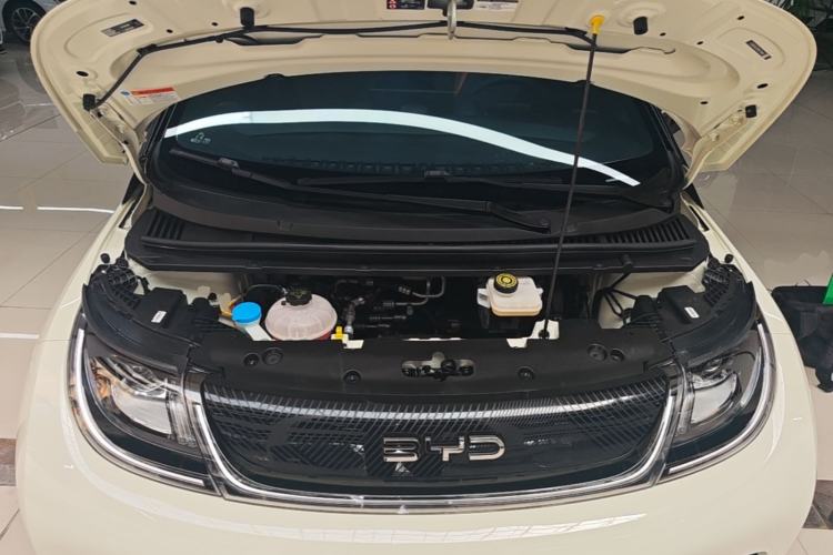 Used BYD Dolphin 2024 Honor Edition 420km Freedom Version Engine Bay
