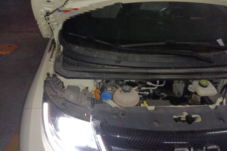 Used BYD Dolphin 2024 Honor Edition 420km Fashion Version Engine Bay Right