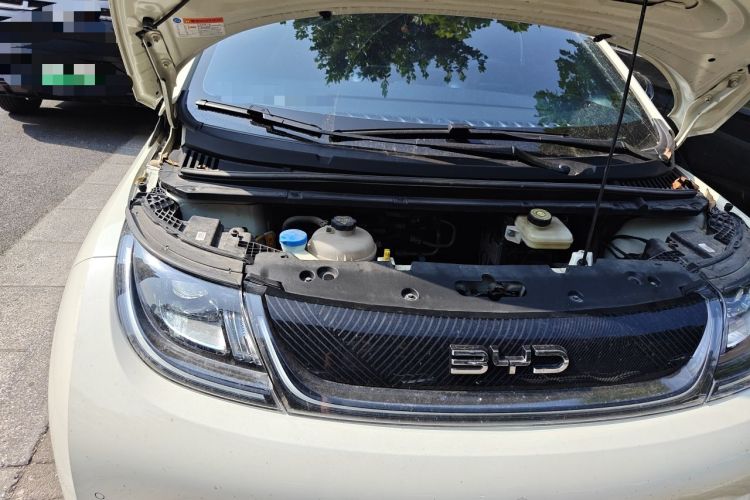 Used BYD Dolphin 2024 Honor Edition 420km Fashion Version Engine Bay Right