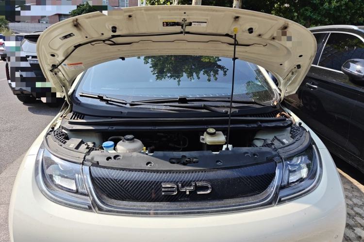 Used BYD Dolphin 2024 Honor Edition 420km Fashion Version Engine Bay
