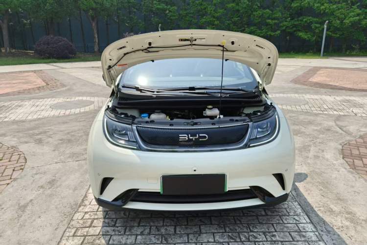 Used BYD Dolphin 2024 Honor Edition 420km Fashion Version Engine Bay