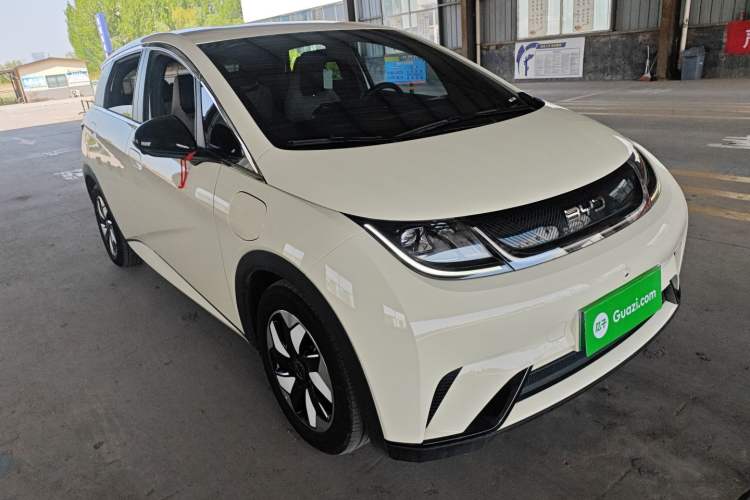 Used BYD Dolphin 2024 Honor Edition 420km Freedom Version Exterior 1