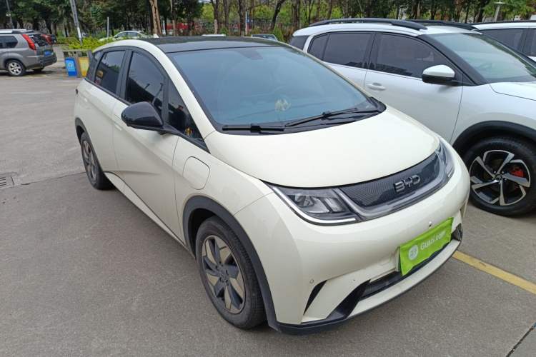 Used BYD Dolphin 2024 Honor Edition 420km Fashion Version Exterior 1