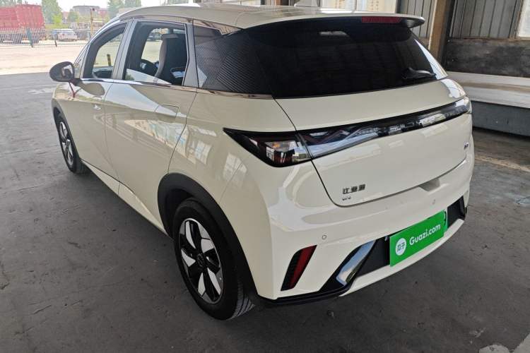 Used BYD Dolphin 2024 Honor Edition 420km Freedom Version Exterior 2