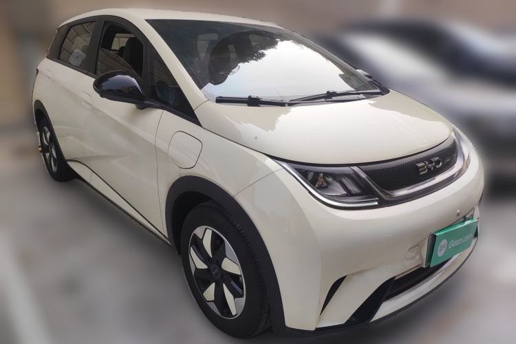 Used BYD Dolphin 2024 Honor Edition 420km Freedom Version Exterior 2