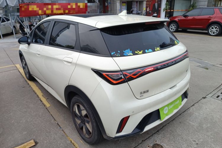 Used BYD Dolphin 2024 Honor Edition 420km Fashion Version Exterior 2
