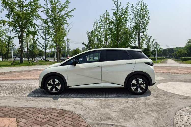 Used BYD Dolphin 2024 Honor Edition 420km Fashion Version Exterior 3