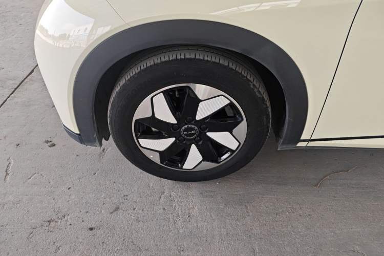 Used BYD Dolphin 2024 Honor Edition 420km Freedom Version Exterior 4
