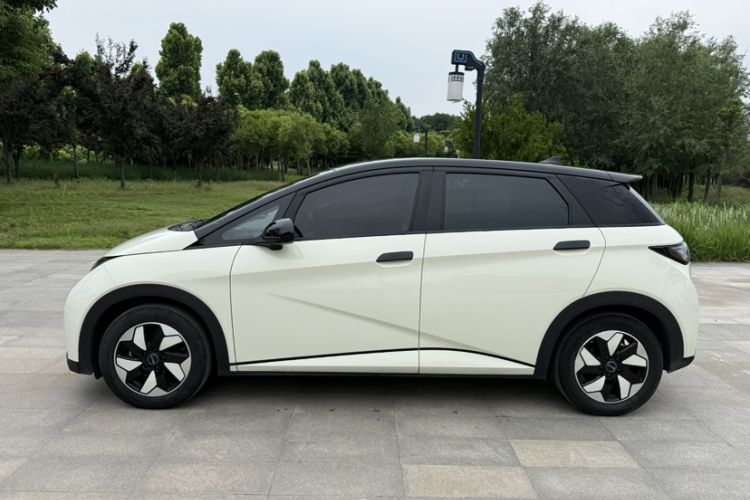 Used BYD Dolphin 2024 Honor Edition 420km Fashion Version Exterior 4