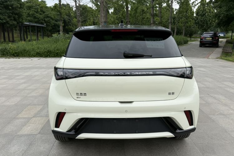 Used BYD Dolphin 2024 Honor Edition 420km Fashion Version Exterior 5