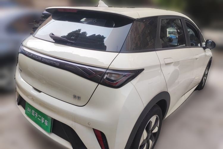 Used BYD Dolphin 2024 Honor Edition 420km Freedom Version Exterior 5