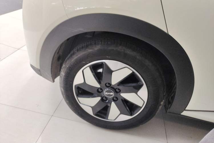 Used BYD Dolphin 2024 Honor Edition 420km Fashion Version Exterior 5