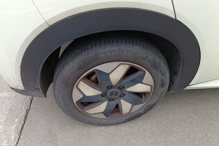 Used BYD Dolphin 2024 Honor Edition 420km Fashion Version Exterior 5