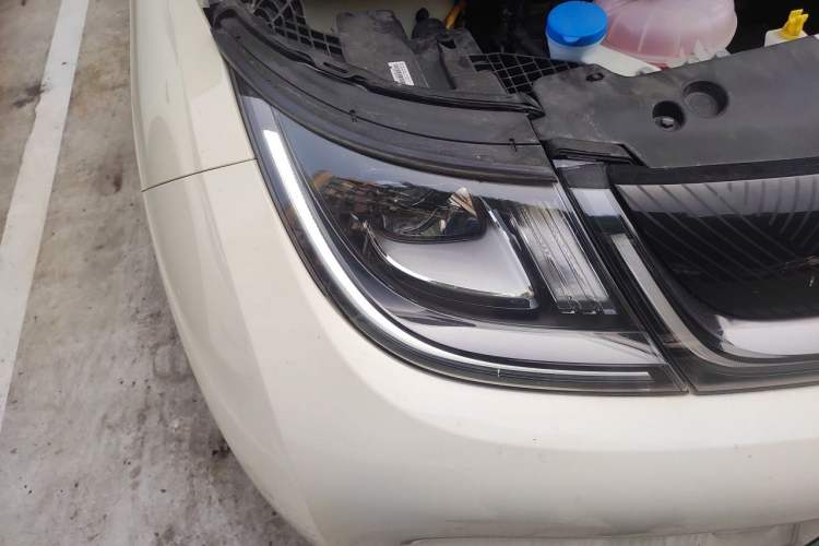 Used BYD Dolphin 2024 Honor Edition 420km Freedom Version Exterior 6