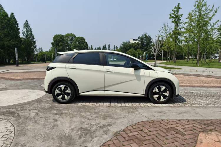 Used BYD Dolphin 2024 Honor Edition 420km Fashion Version Exterior 6