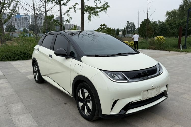 Used BYD Dolphin 2024 Honor Edition 420km Fashion Version Exterior 7