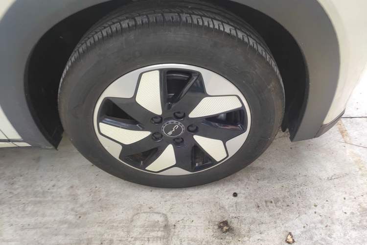 Used BYD Dolphin 2024 Honor Edition 420km Freedom Version Exterior 7