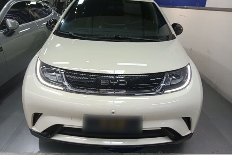 Used BYD Dolphin 2024 Honor Edition 420km Freedom Version Front