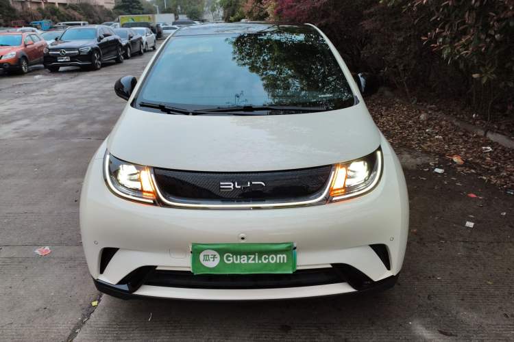 Used BYD Dolphin 2024 Honor Edition 420km Fashion Version Front