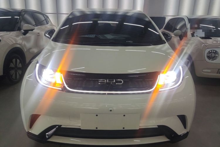 Used BYD Dolphin 2024 Honor Edition 420km Freedom Version Front