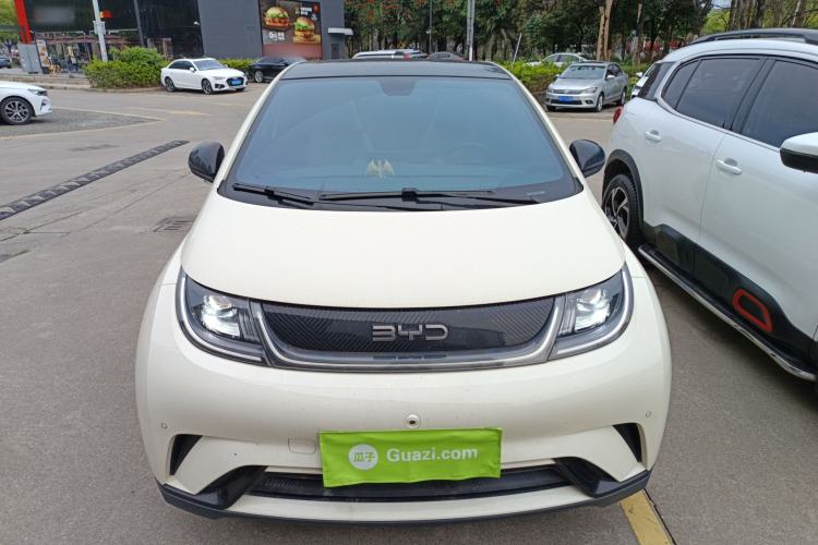 Used BYD Dolphin 2024 Honor Edition 420km Fashion Version Front