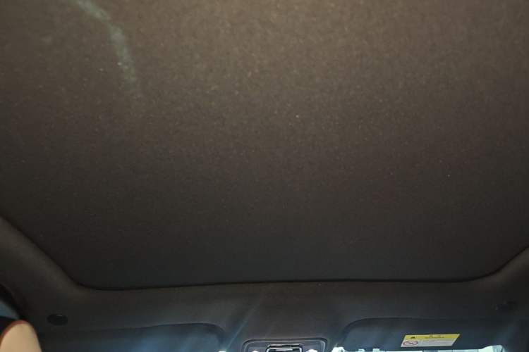 Used BYD Dolphin 2024 Honor Edition 420km Fashion Version Headliner