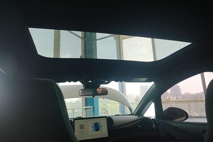 Used BYD Dolphin 2024 Honor Edition 420km Fashion Version Headliner