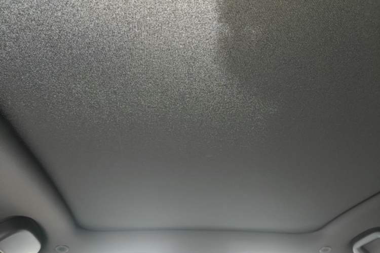 Used BYD Dolphin 2024 Honor Edition 420km Fashion Version Headliner