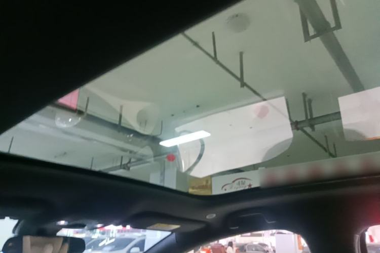 Used BYD Dolphin 2024 Honor Edition 420km Fashion Version Headliner