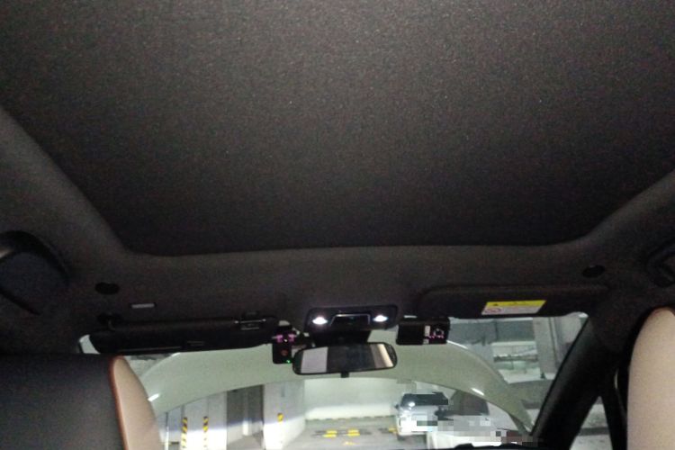 Used BYD Dolphin 2024 Honor Edition 420km Fashion Version Headliner