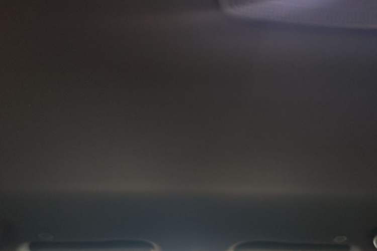 Used BYD Dolphin 2024 Honor Edition 420km Freedom Version Headliner