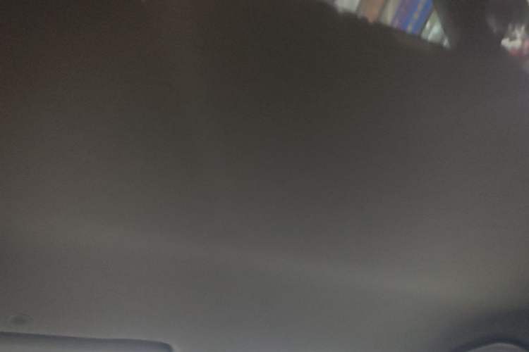 Used BYD Dolphin 2024 Honor Edition 420km Freedom Version Headliner