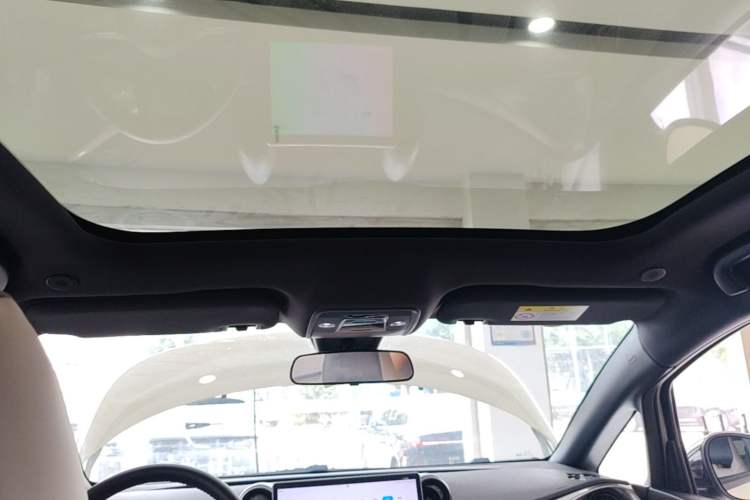 Used BYD Dolphin 2024 Honor Edition 420km Fashion Version Headliner
