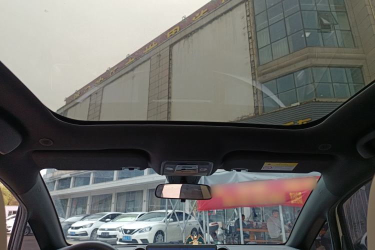 Used BYD Dolphin 2024 Honor Edition 420km Fashion Version Headliner