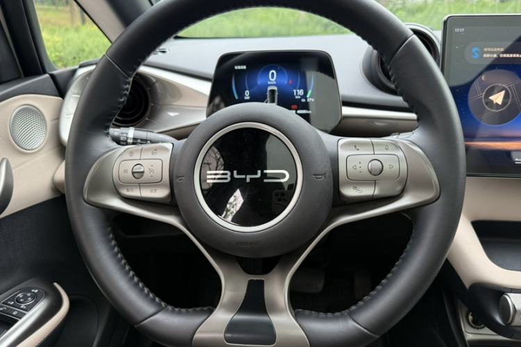 Used BYD Dolphin 2024 Honor Edition 420km Fashion Version Interior 4