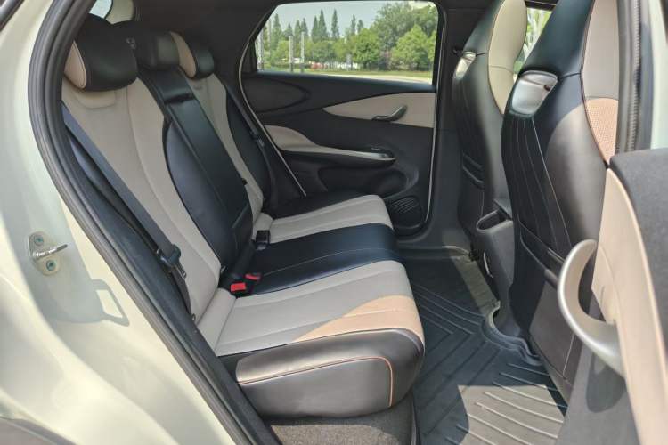 Used BYD Dolphin 2024 Honor Edition 420km Fashion Version Interior 4