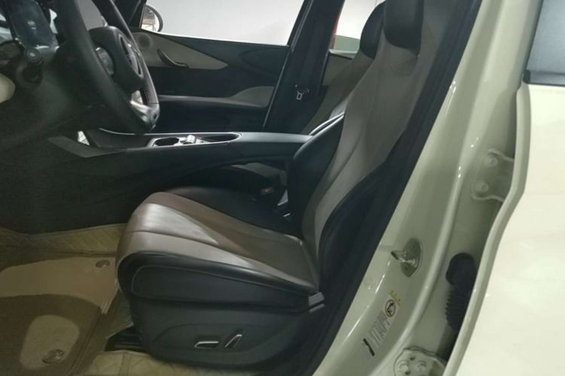 Used BYD Dolphin 2024 Honor Edition 420km Fashion Version Left Front Seat