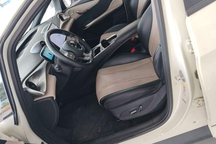 Used BYD Dolphin 2024 Honor Edition 420km Fashion Version Left Front Seat