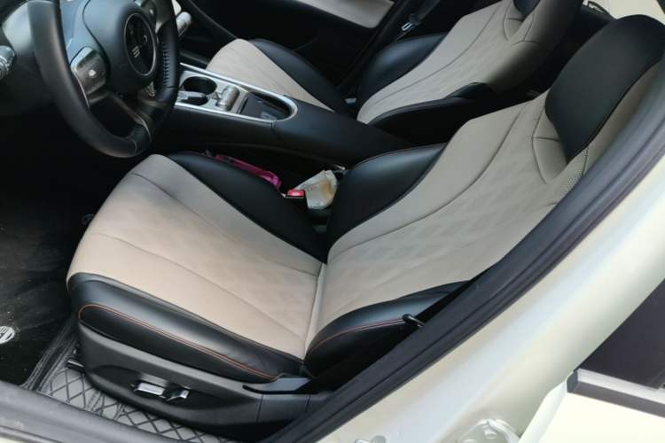 Used BYD Dolphin 2024 Honor Edition 420km Freedom Version Left Front Seat