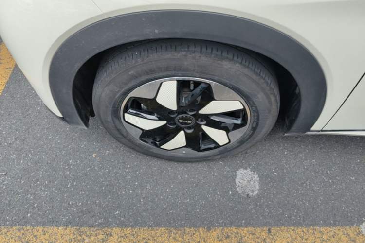 Used BYD Dolphin 2024 Honor Edition 420km Freedom Version Left Front Wheel Hub