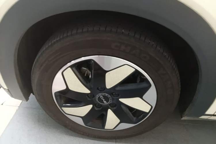 Used BYD Dolphin 2024 Honor Edition 420km Freedom Version Left Front Wheel Hub