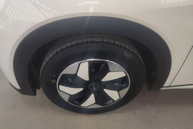 Used BYD Dolphin 2024 Honor Edition 420km Freedom Version Left Front Wheel Hub