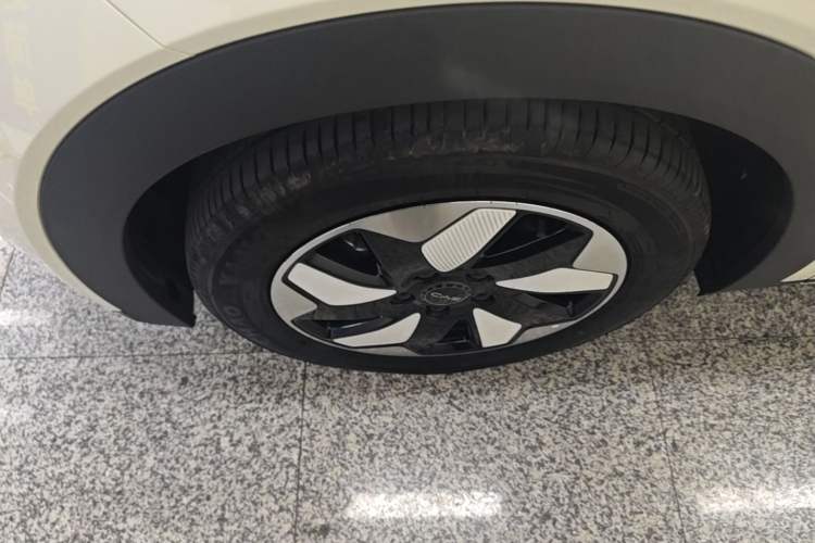 Used BYD Dolphin 2024 Honor Edition 420km Freedom Version Left Front Wheel Hub