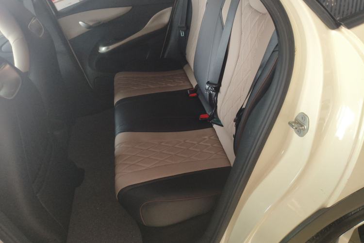 Used BYD Dolphin 2024 Honor Edition 302km Dynamic Version Left Rear Seat