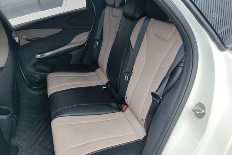 Used BYD Dolphin 2024 Honor Edition 420km Freedom Version Left Rear Seat