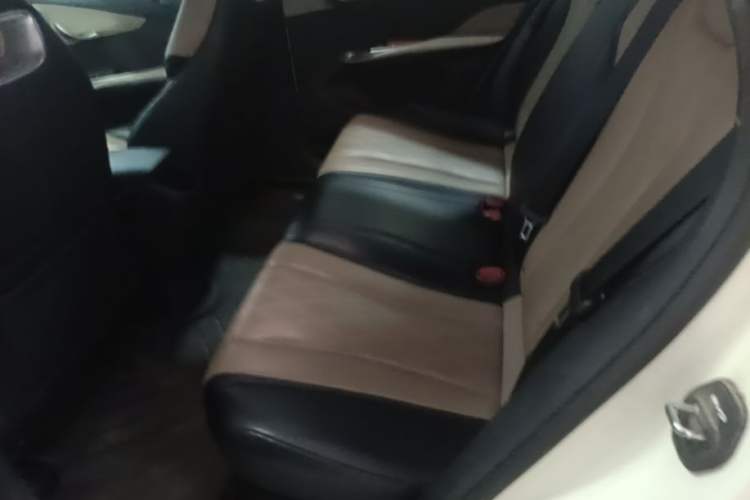 Used BYD Dolphin 2024 Honor Edition 420km Freedom Version Left Rear Seat