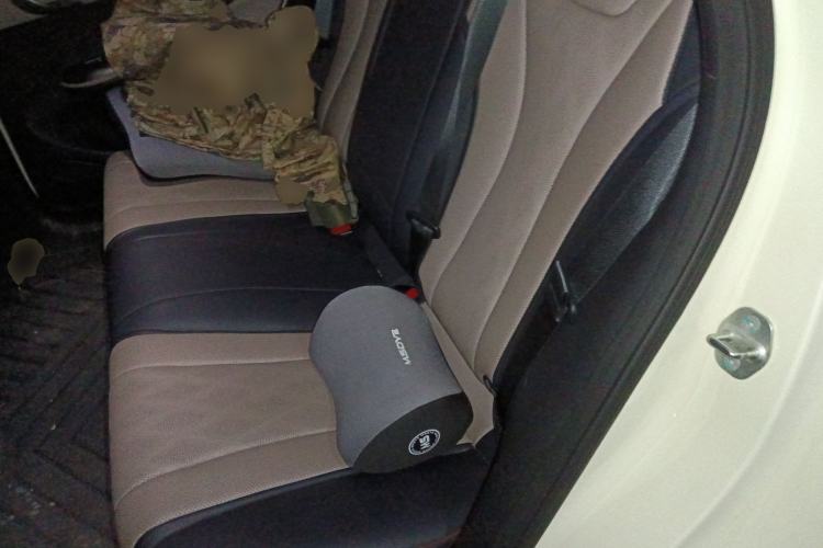 Used BYD Dolphin 2024 Honor Edition 420km Fashion Version Left Rear Seat