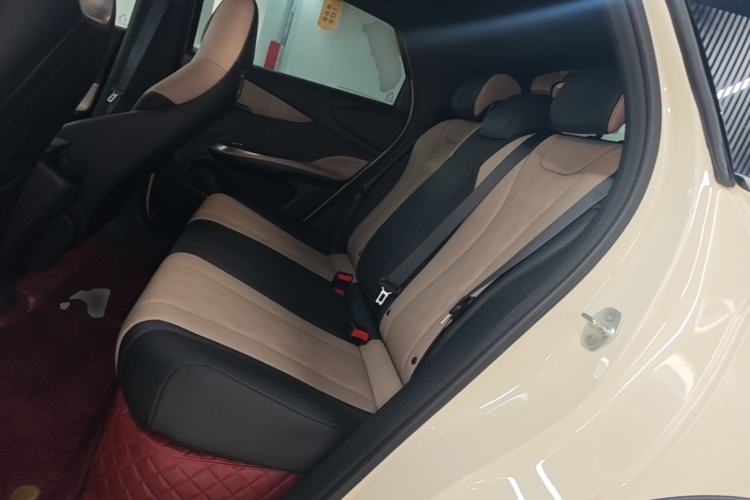 Used BYD Dolphin 2024 Honor Edition 420km Freedom Version Left Rear Seat