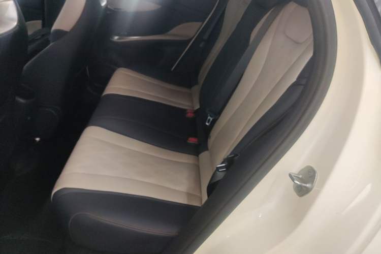 Used BYD Dolphin 2024 Honor Edition 420km Freedom Version Left Rear Seat
